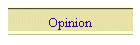 Opinion
